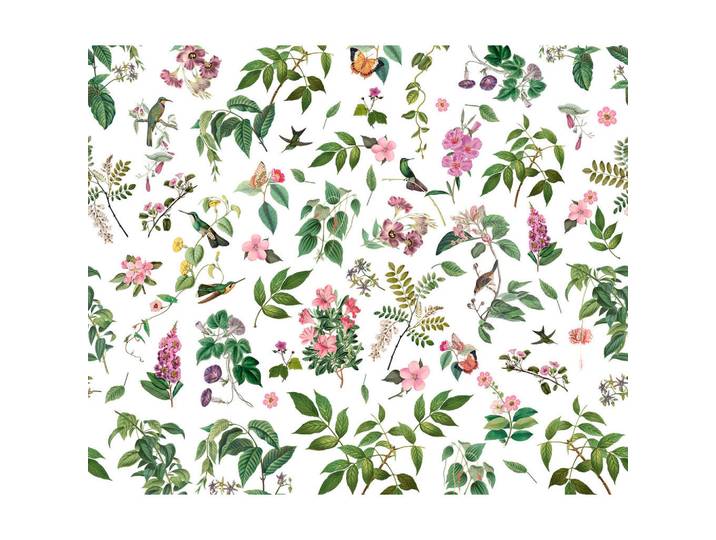 Komar Vliestapete, Mehrfarbig, Floral, 300x250 cm, Fsc, Tapeten & Wandverkleidungen, Vliestapeten