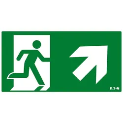 Ceag Notlichtsysteme Piktogramm FT2EWEC-PICTO-UR