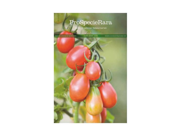 ProSpecieRara Postkarte Tomate Baselbieter Röteli