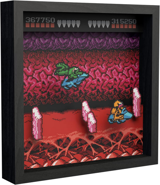 Pixel Frames Battletoads Turbo Tunn
