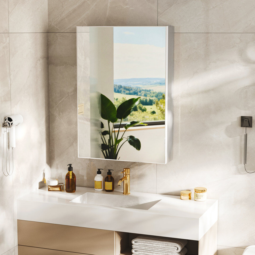 Ivy Bronx 500mm W 700mm H Frameless Medicine Cabinet Mirror 2 Silver 700mm H