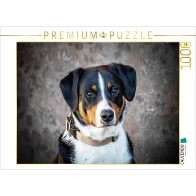 CALVENDO Puzzle Appenzeller Sennenhündin | 1000 Teile Lege-Größe 64x48cm Foto-Puzzle für glückliche Stunden, Sonstige von , Calvendo Puzzle