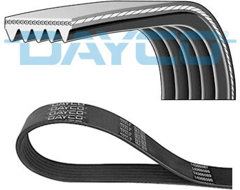 Dayco Keilrippenriemen 5pk1247s Für Hyundai