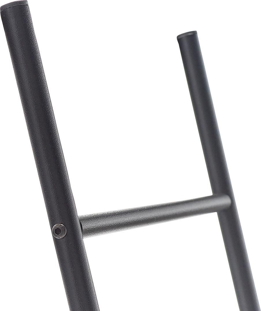 Dekoleiter ZELLER PRESENT, schwarz, B:38cm H:176cm T:2cm, Metall, Dekofiguren, Dekoleiter, Handtuchhalter schwarz B/H/T: 38cm x 176cm x 2cm