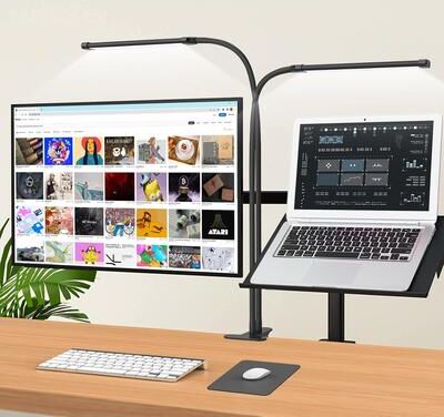 Multicon Wholesale Hub Clip on Desk Lamp For Study, Lighting Modes, Flexible Gooseneck, Eye Care Reading Lamp, USB Powered With Brightness 2 Heads