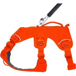 Ruffwear Web Master Hundegeschirr mit Griff (Hund, Allgemein, Hundesport, Spazieren), Halsband + Leine