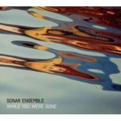 While you were gone - Sonar Ensemble, CD