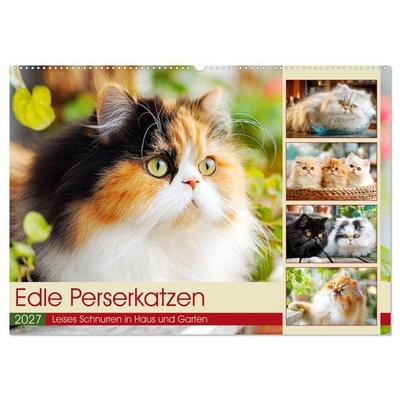 Edle Perserkatzen. Leises Schnurren in Haus und Garten (Wandkalender 2027 DIN A2 quer), CALVENDO Monatskalender