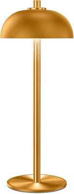 Inspire Curations Rechargeable Mushroom Table Lamp USB C Wireless Touch Mood Light gold