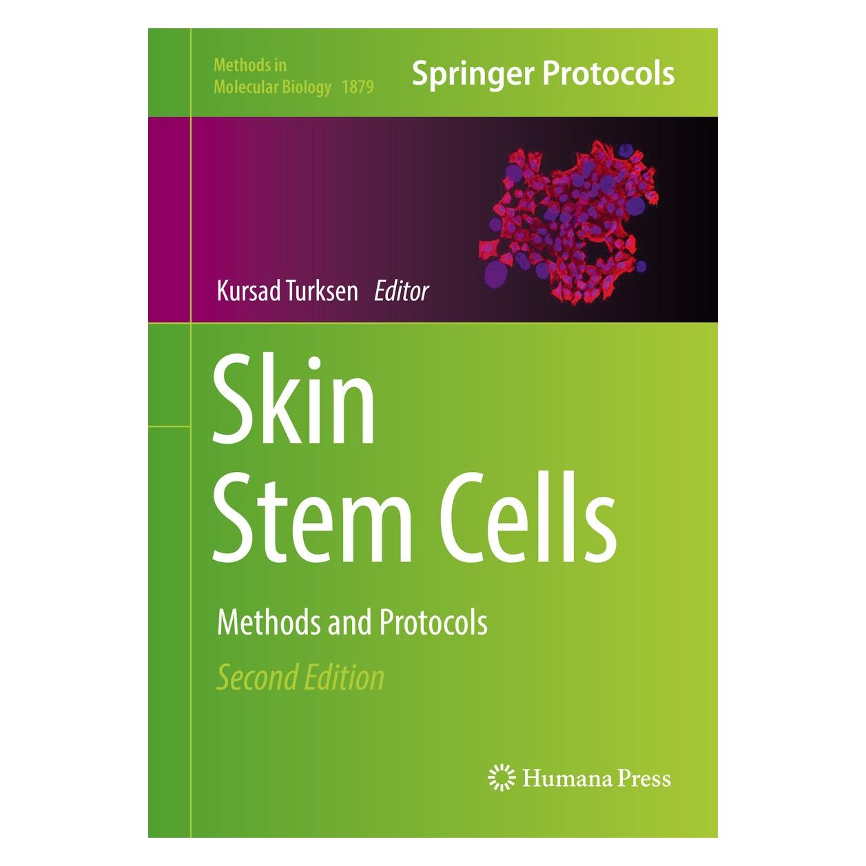 Springer Skin Stem Cells (Englisch, Hardcover, Kursad Turksen) (9781493988693)
