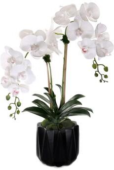 Jenny Silks Real Touch Phalaenopsis Orchids in Black Dimensional Pot - White