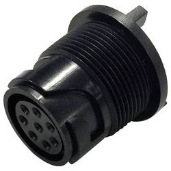 Bulgin PXP4013/10P Rundsteckverbinder Stecker, Einbau Gesamtpolzahl: 10 Serie (Rundsteckverbinder): PXP 1 St.