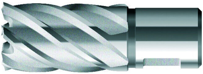 BDS Foret à noyau court KBK HSS queue Weldon 23/30mm (KBK023)