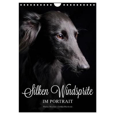 Silken Windsprite im Portrait (Wandkalender 2027 DIN A4 hoch), CALVENDO Monatskalender