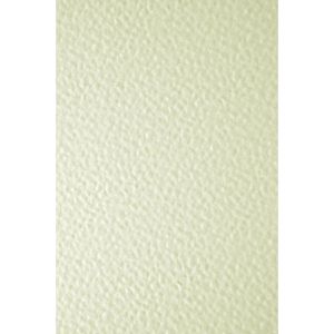 Netuno Briefpapier KO246C03/A4, gehämmert, creme / chamois, A4, Strukturpapier, 246 g/m², 20 Blatt