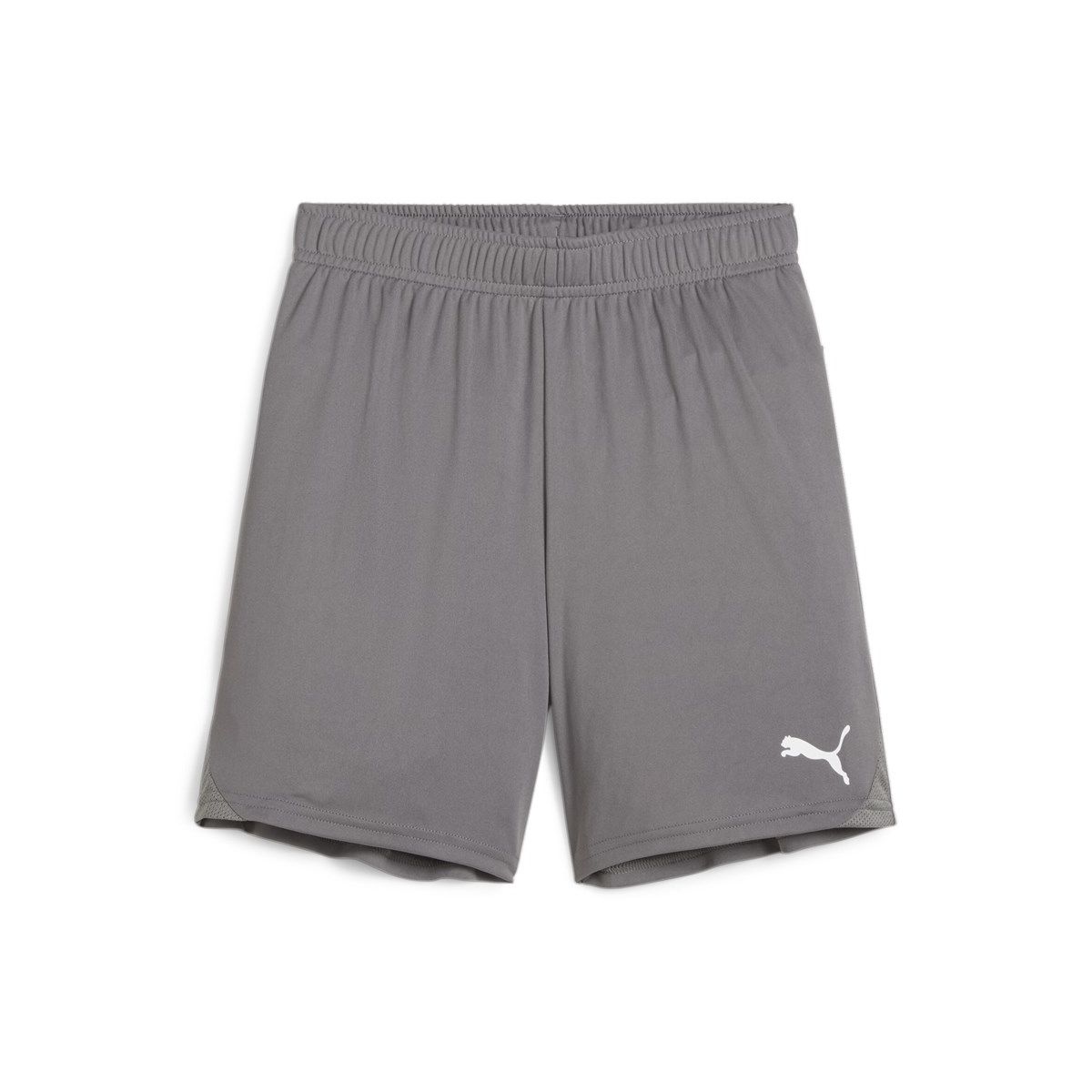 Puma Teamgoal Shorts Jr cast iron-puma white (13) 176 705753-13-176