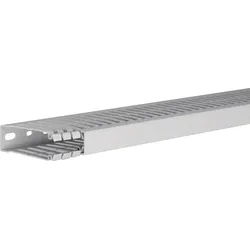 Hager HA780025 Verdrahtungskanal aus PC/ABS halogenfrei zu HA7 80x25mm lichtgrau  - 2 Meter