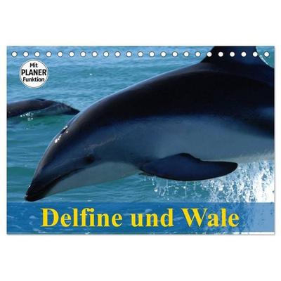Delfine und Wale (Tischkalender 2026 DIN A5 quer), CALVENDO Monatskalender