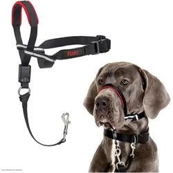Company of Animals Halti Optifit Kopfgeschirr (L, Hund), Halsband + Leine