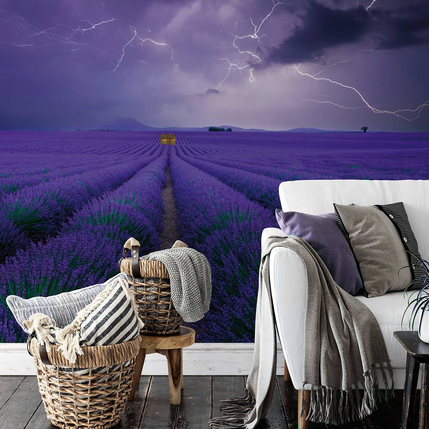 home24 Fotobehang Field of Lavender met bloemenmotief in paars