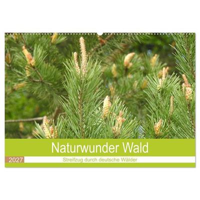 Naturwunder Wald (Wandkalender 2027 DIN A2 quer), CALVENDO Monatskalender