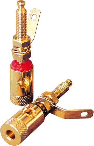 Dynavox Bananen-Buchsen 205096 4St.