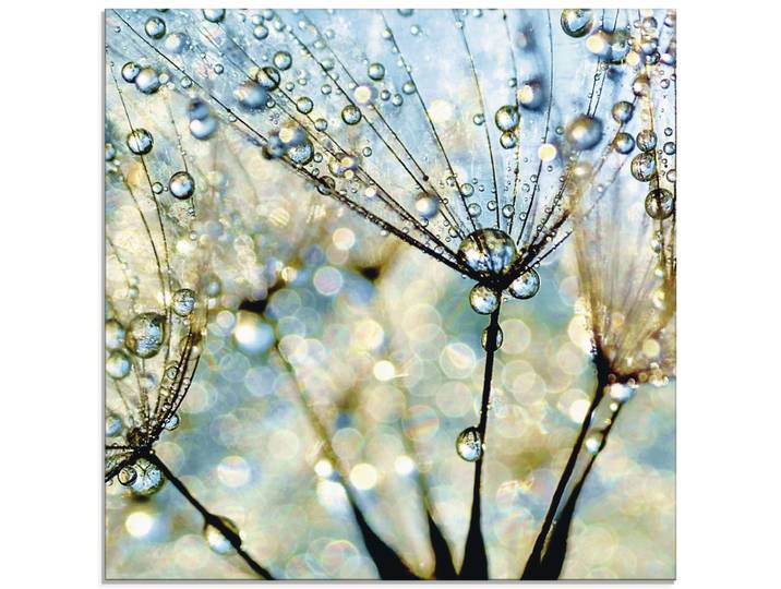 Glasbild ARTLAND Pusteblume Blaue Diamanten , blau (farbe bild(er): blau), B:30cm H:30cm, Bilder, Glasbild, in verschiedenen Grössen