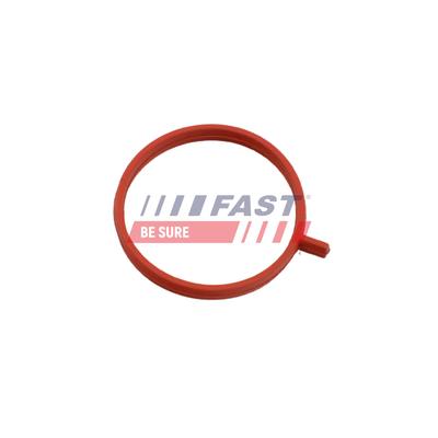 FAST Dichtring, Ladeluftschlauch ft48963 für Fiat