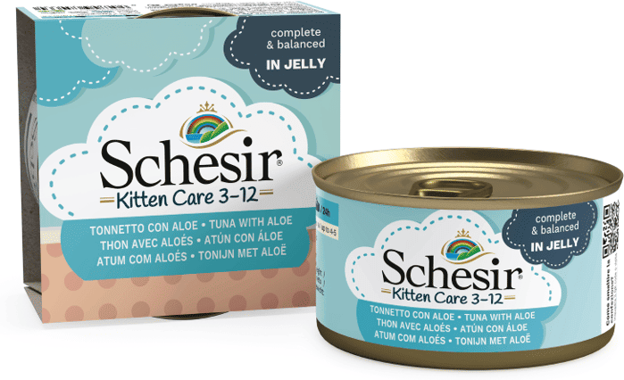Schesir Kitten Lata Atum com Aloe em Geleia 14 uds x 85g