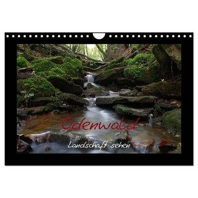 Odenwald - Landschaft sehen (Wandkalender 2027 DIN A4 quer), CALVENDO Monatskalender