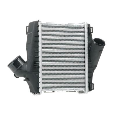 RIDEX Ladeluftkühler SMART 468I0141 4515010201,4515010401,A4515010201 Intercooler A4515010401