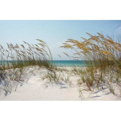 Fototapete PAPERMOON "Ocean Beach Dunes", bunt, B:4,5m L:2,8m, Vlies, Tapeten