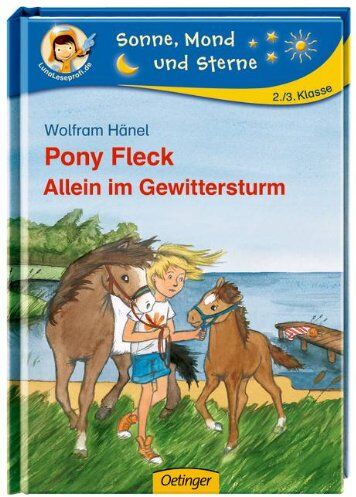 Wolfram Hänel - Pony Fleck 06. Allein im Gewittersturm - Preis vom 12.10.2026 11:37:12 h