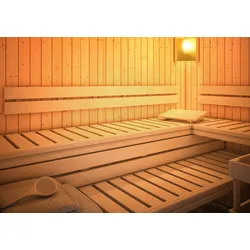 Karibu Rückenlehne und Bankblende Premium Set 4 Vario