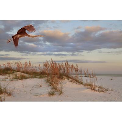 Fototapete PAPERMOON "DÜNEN-MEER SEE KÜSTE NORDSEE OSTSEE STRAND SYLT BAUM", bunt, B:5m L:2,8m, Vlies, Tapeten