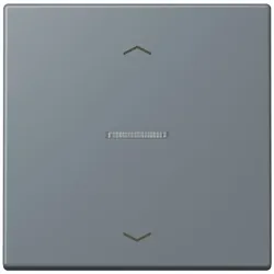 Jung Wippe mit Lichtleiter LC 101 KO5P 251