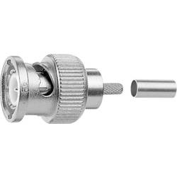 Telegärtner 100023303 100023303 BNC-Steckverbinder Stecker, gerade 50 Ω 1 St.