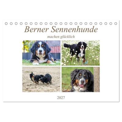 Berner Sennenhunde machen glücklich (Tischkalender 2027 DIN A5 quer), CALVENDO Monatskalender