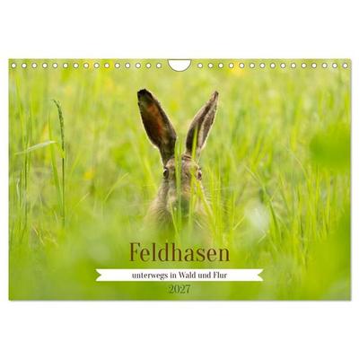 Feldhasen unterwegs in Wald und Flur (Wandkalender 2027 DIN A4 quer), CALVENDO Monatskalender