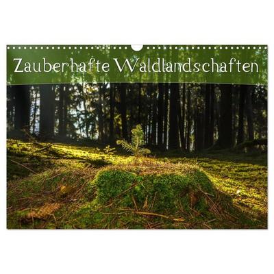 Zauberhafte Waldlandschaften (Wandkalender 2027 DIN A3 quer), CALVENDO Monatskalender