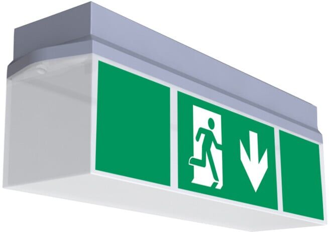 RP-Group Lampe de signalisation de secours LED EB 1h SC KWID411SC (KWID411SC)