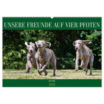 Unsere Freunde auf vier Pfoten - Hunde (Wandkalender 2026 DIN A2 quer), CALVENDO Monatskalender