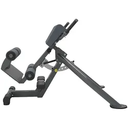 Odin PRO Adjustable Back Extension Bench