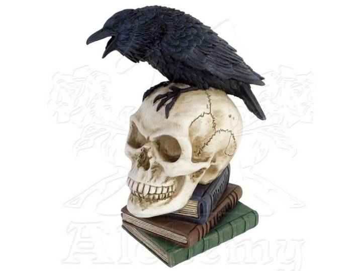 Alchemy - The Vault Raven de Poe Crâne