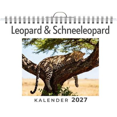 Leopard & Schneeleopard
