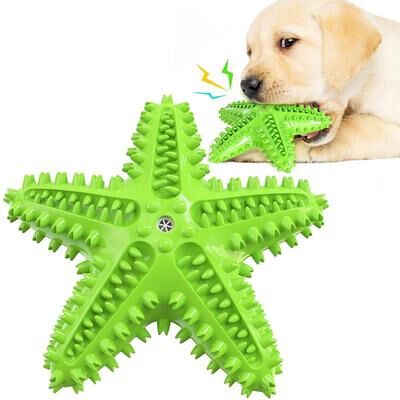 Everyday Crate Starfish Interactive Dog Chew Toy With Treat Dispenser And Dog Toothbrush Toy Design green