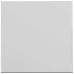 Gira Wippe Schalter grau lackiert 329676