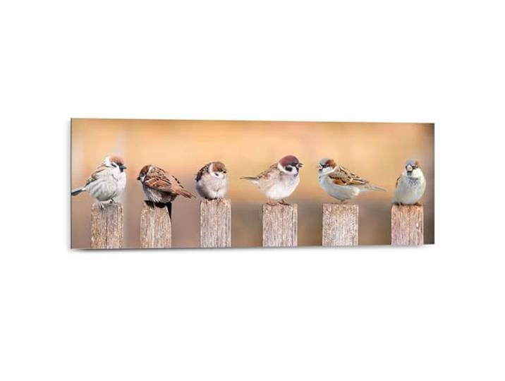 Deco Panel Vogels 30 x 90