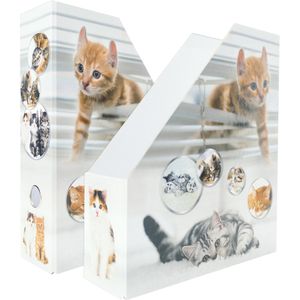 Herma Stehsammler 19717, Katzen, A4, Pappe, mit Motiv