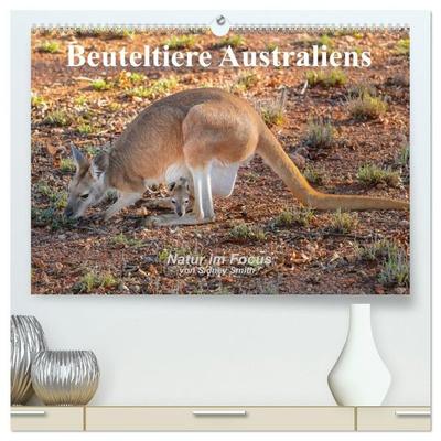 Beuteltiere Australiens (hochwertiger Premium Wandkalender 2027 DIN A2 quer), Kunstdruck in Hochglanz